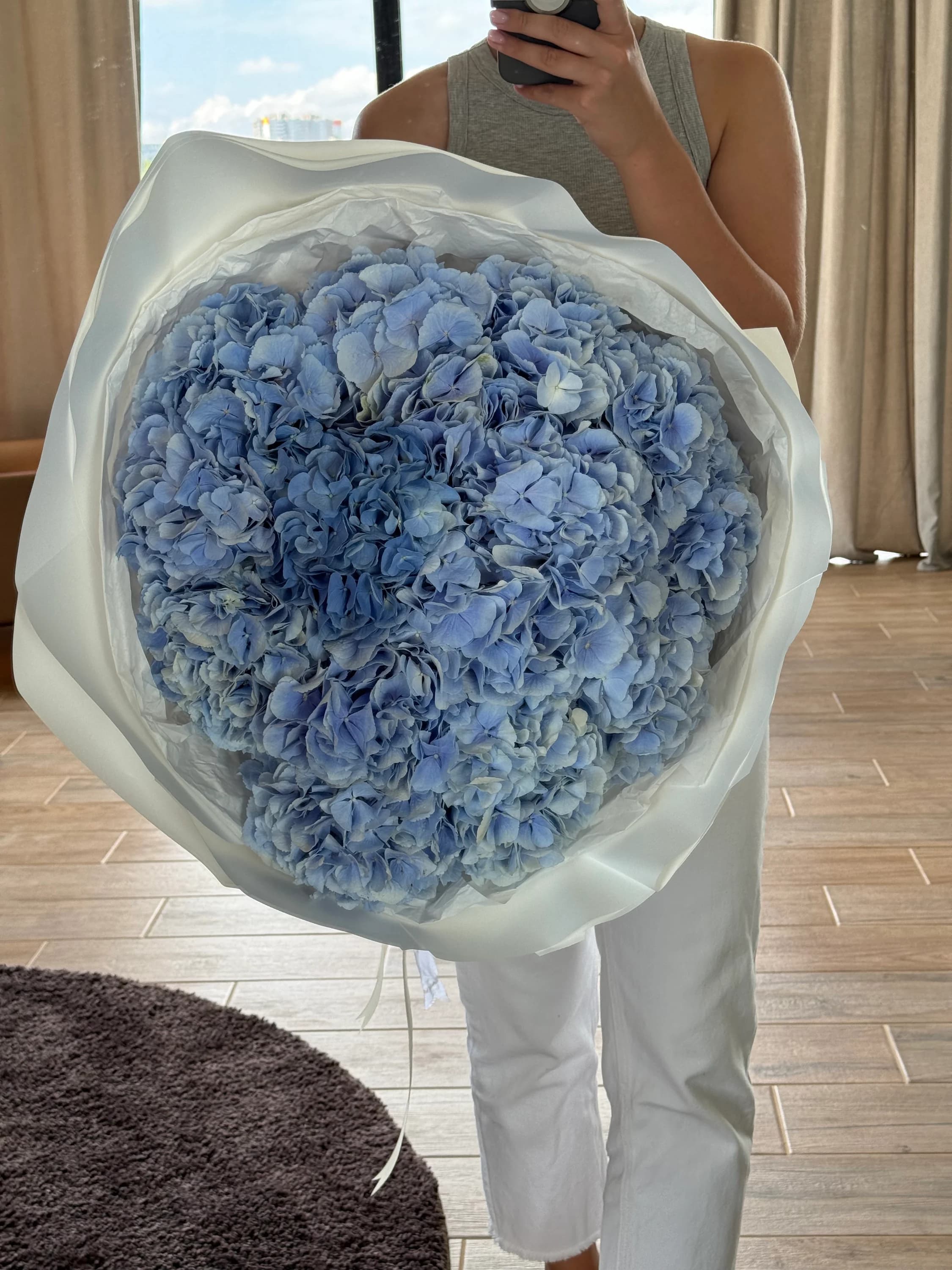 Hydrangea Light blue (Holland)