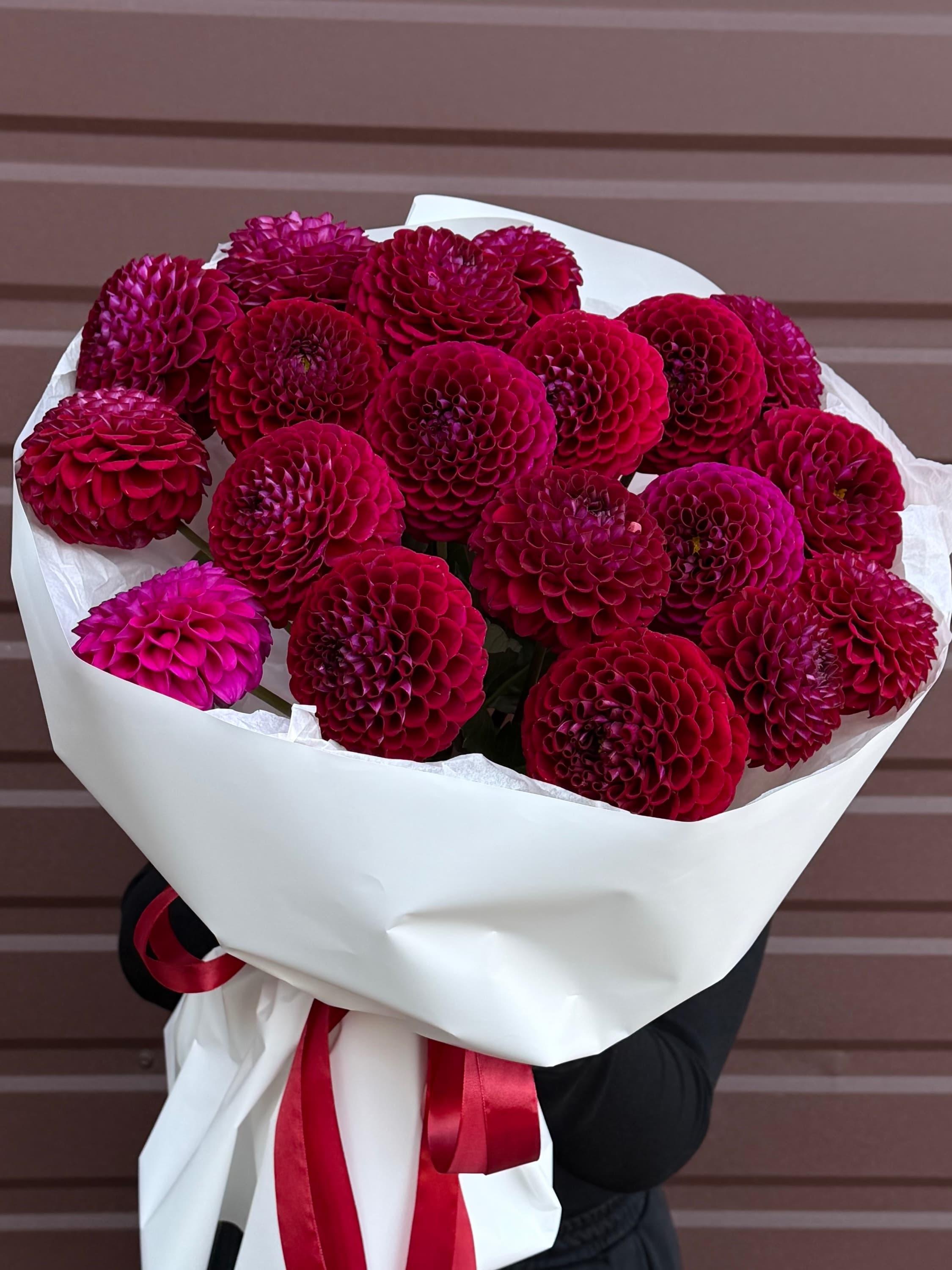 Another flower Dahlia