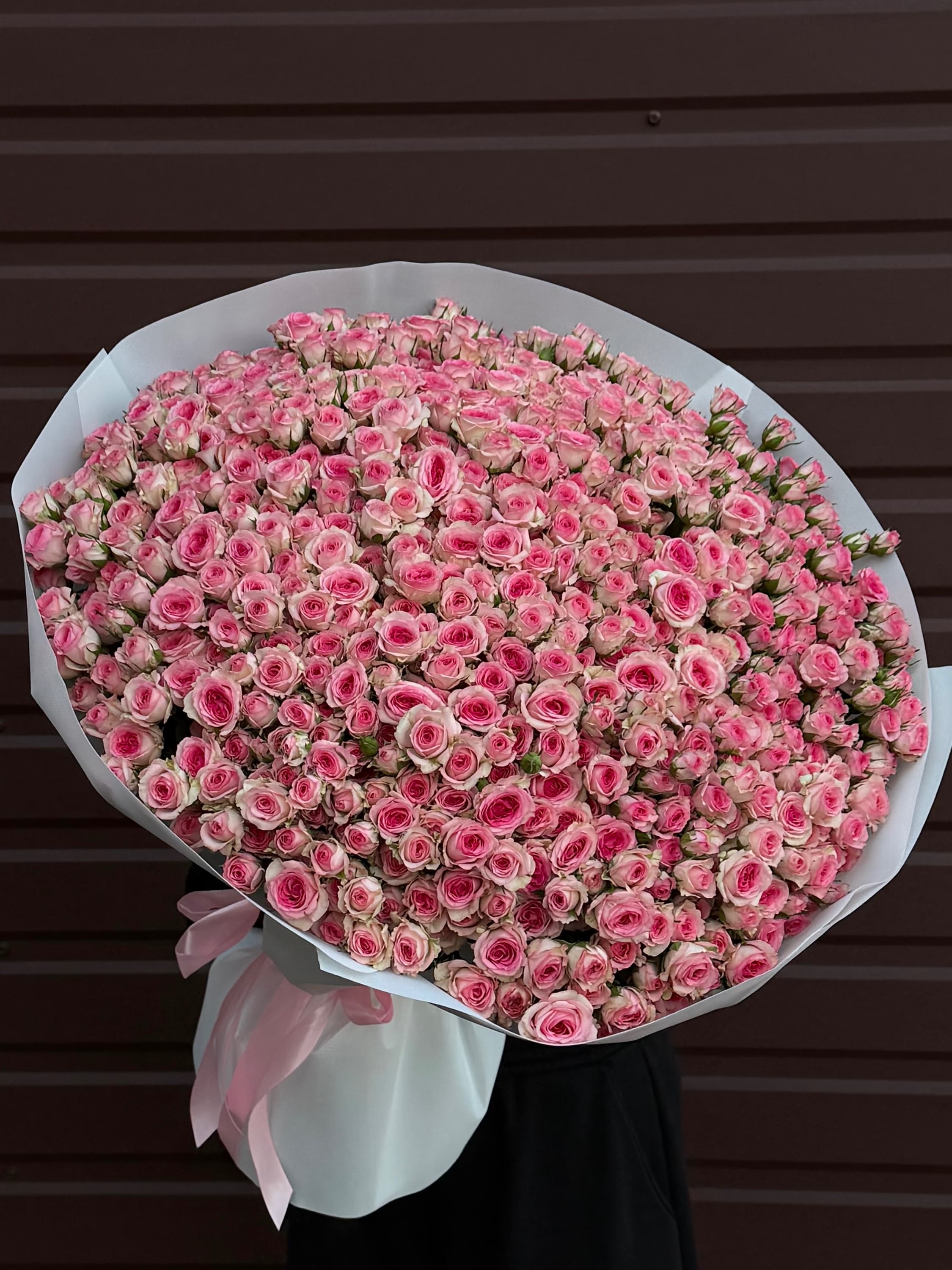 Spray rose Tralala — monobuket