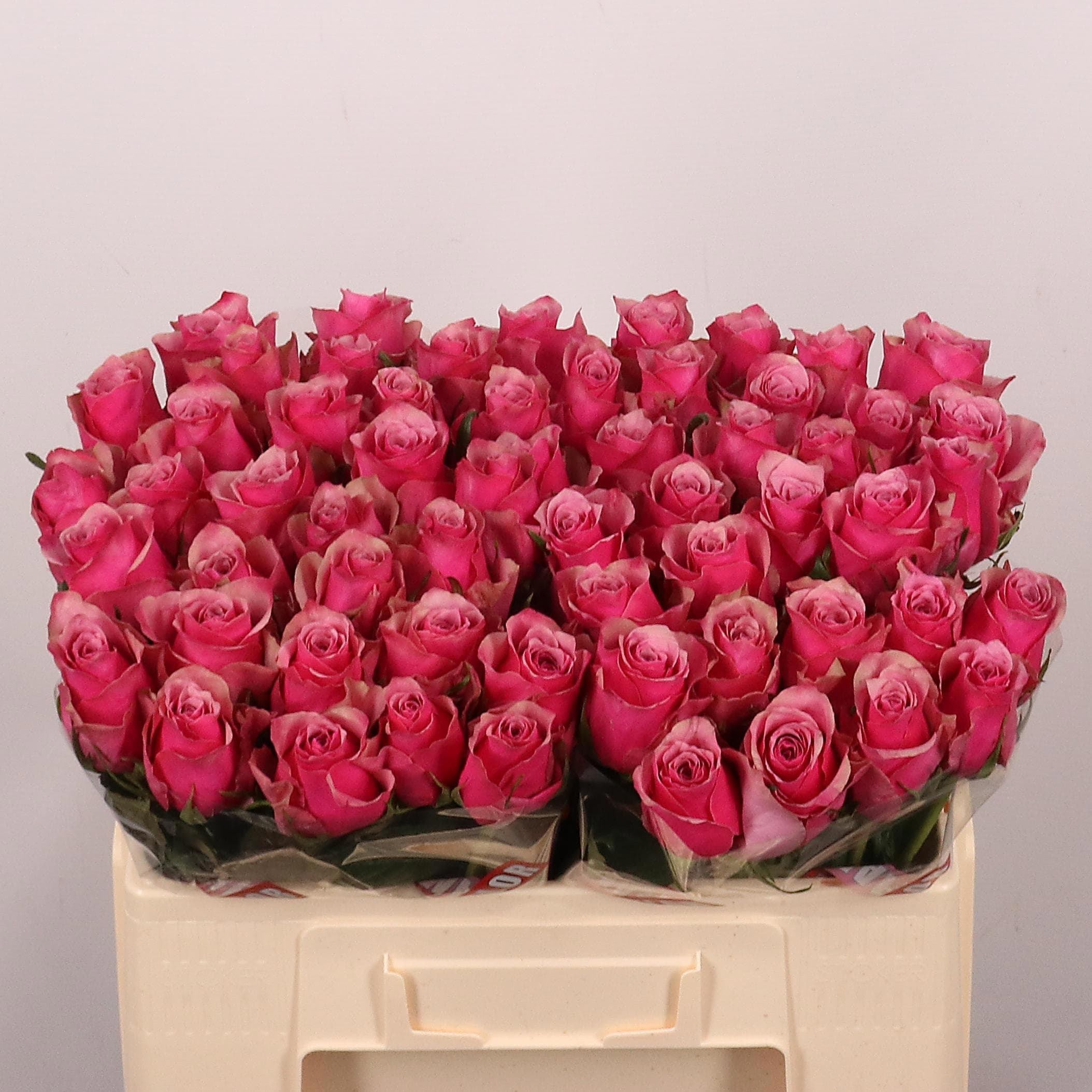Rose Athena Majesty, hot pink — monobuket
