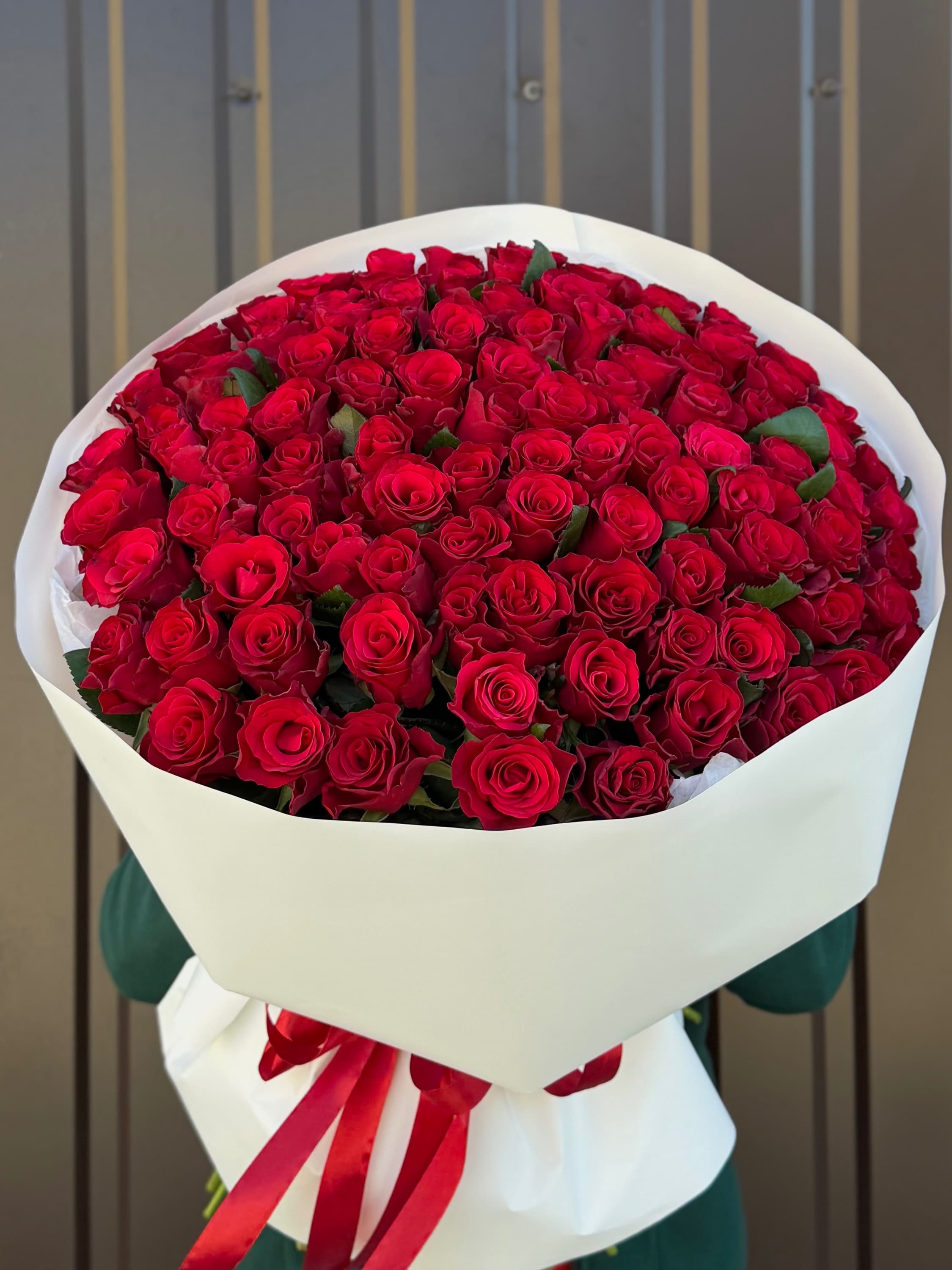 Rosa Red Tacazzi