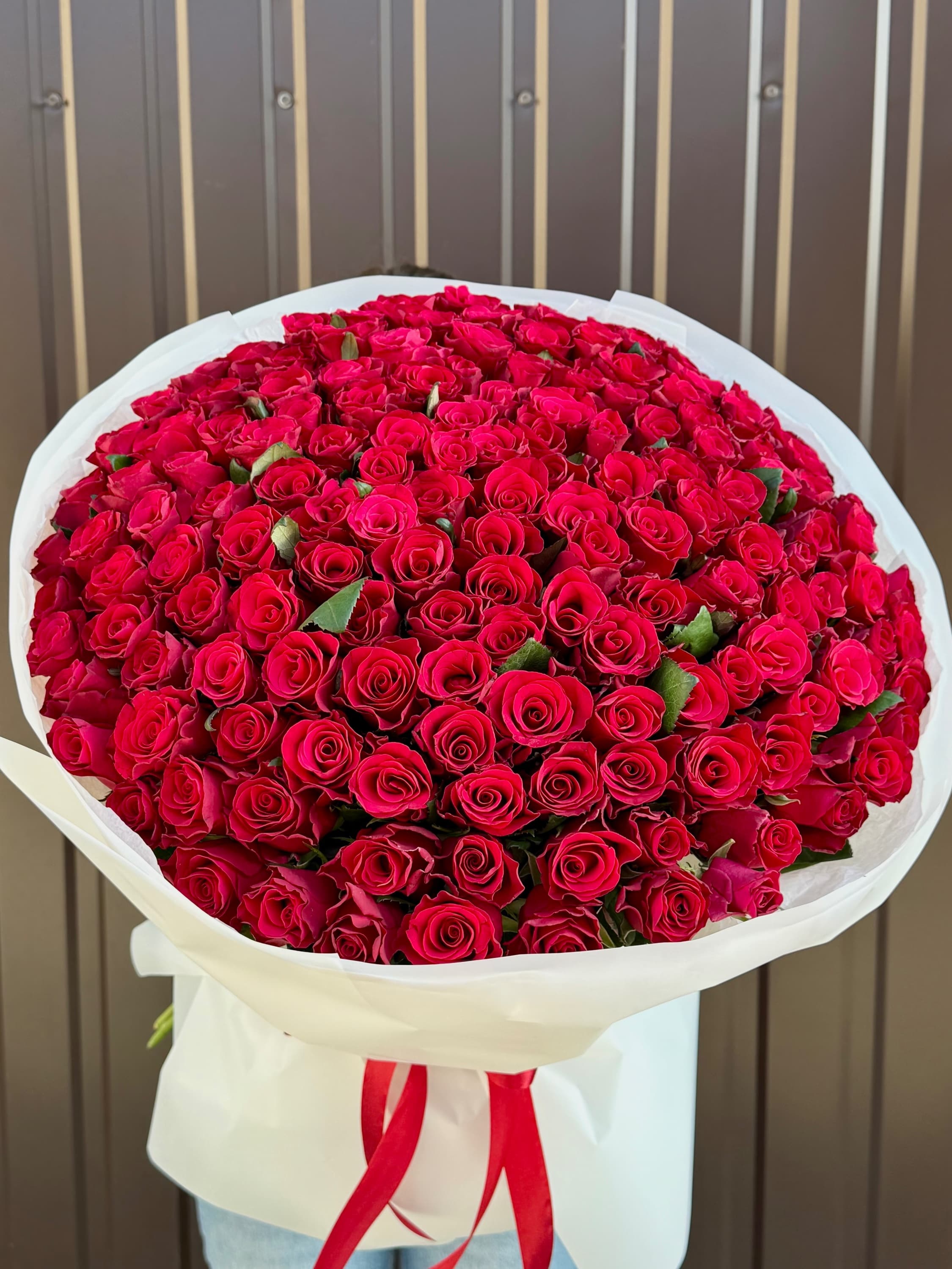 Rose Red Tacazzi, red — monobuket